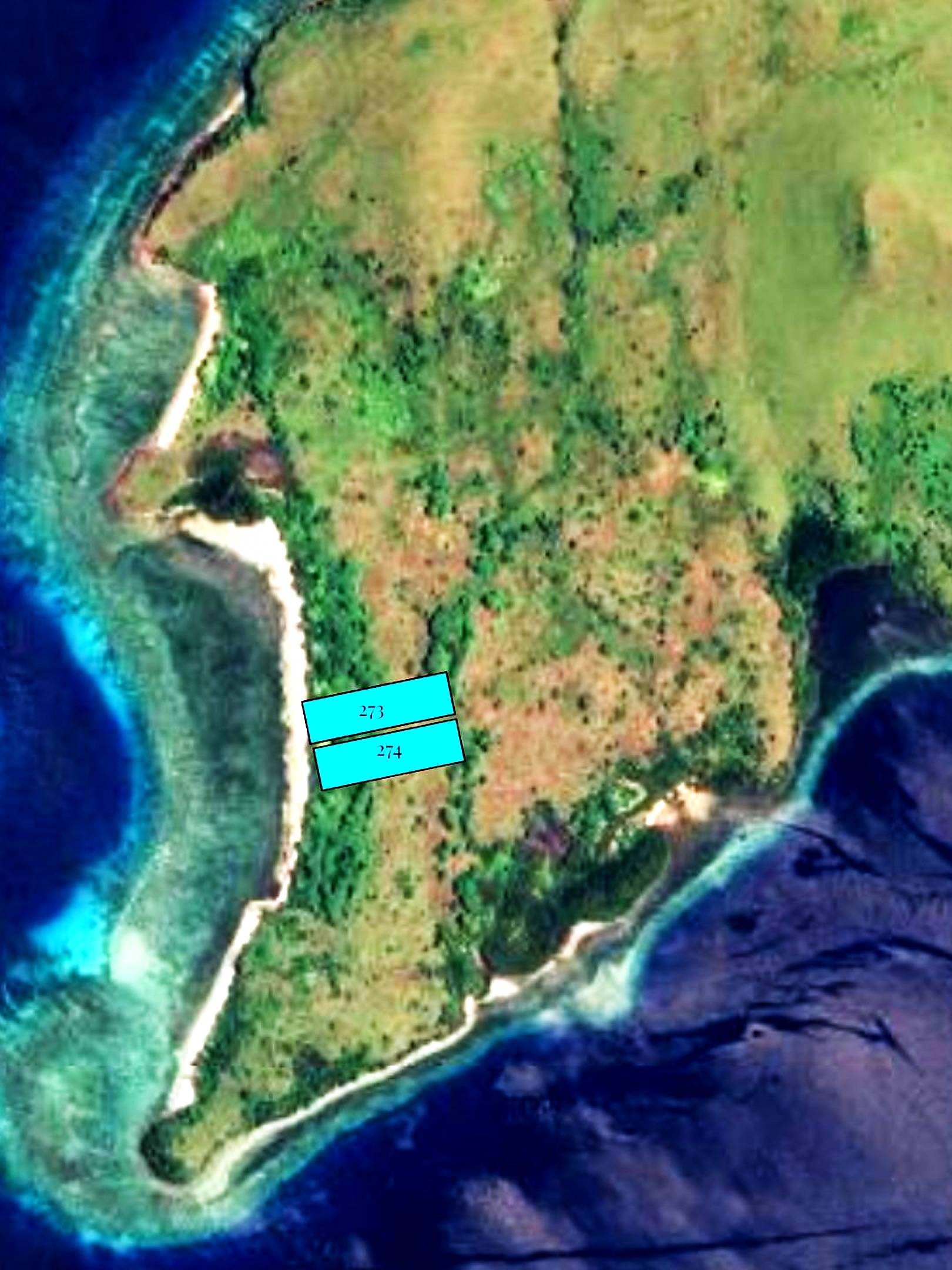 Satellite view showing plot location