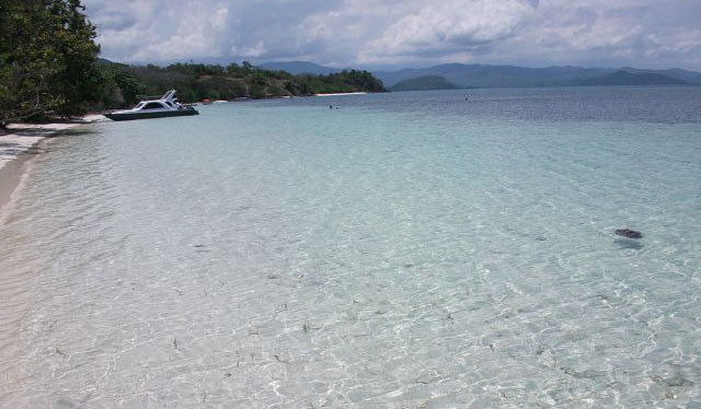 Beachfront canopy and shoreline